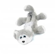 Husky